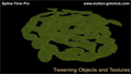 Spline-Time Pro